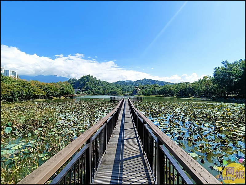 寬茶1號院|台中旅遊景點東勢林場最美茶藝館!台灣特色茶.正餐午茶點心通通有.免費停車更加分