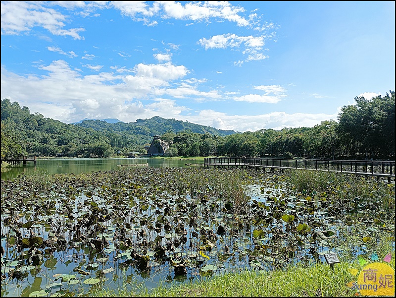 寬茶1號院|台中旅遊景點東勢林場最美茶藝館!台灣特色茶.正餐午茶點心通通有.免費停車更加分