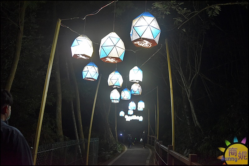 2023埔里森林逐燈祭|全台獨有山城特色燈會只有9天!5大燈區10個必拍場景 森林秘境燈會好好玩