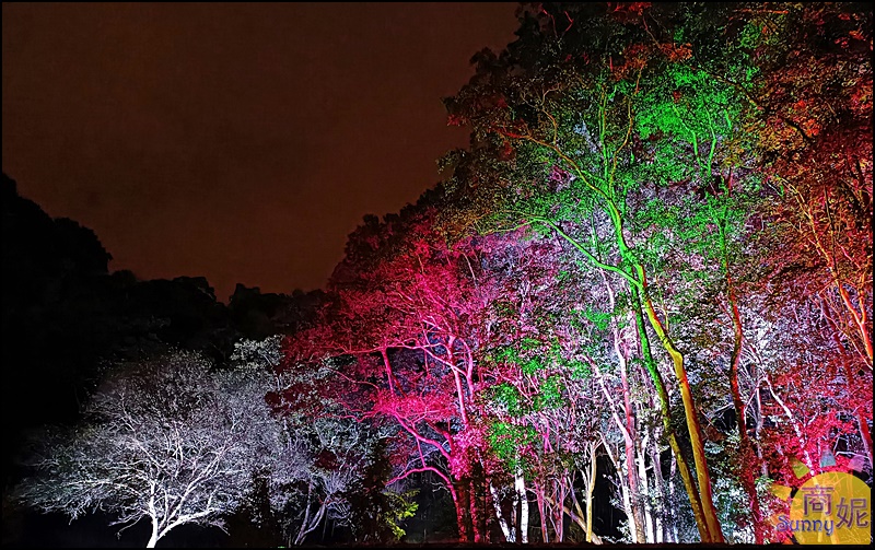 2023埔里森林逐燈祭|全台獨有山城特色燈會只有9天!5大燈區10個必拍場景 森林秘境燈會好好玩