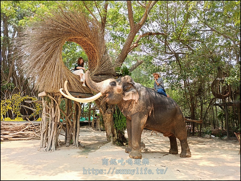 泰國芭達雅必訪景點|MongChang Cafe大象咖啡廳不限時超CHILL!大象生態園區享受泰式美食看歌舞秀與大象拍照