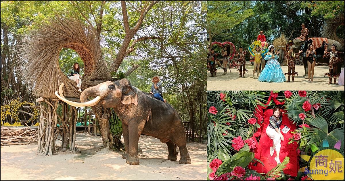 泰國芭達雅必訪景點|MongChang Cafe大象咖啡廳不限時超CHILL!大象生態園區享受泰式美食看歌舞秀與大象拍照 @商妮吃喝遊樂