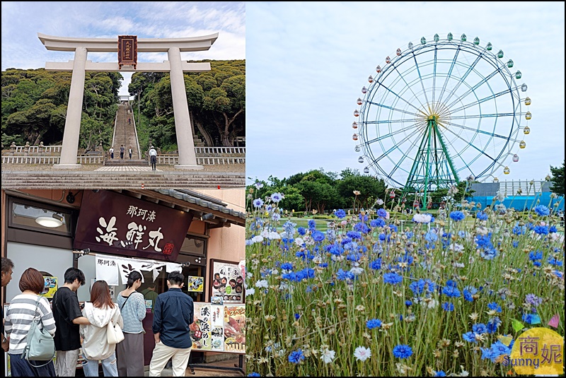 茨城一日遊|大洗磯前神社、那珂湊海鮮市場、國營海濱公園 花海美食一日遊