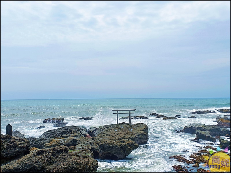 茨城一日遊|大洗磯前神社、那珂湊海鮮市場、國營海濱公園 花海美食一日遊