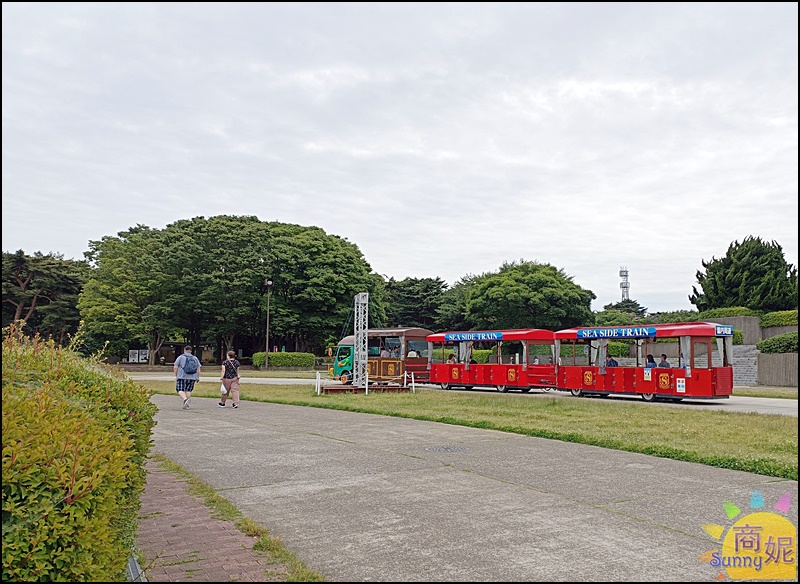 茨城一日遊|大洗磯前神社、那珂湊海鮮市場、國營海濱公園 花海美食一日遊