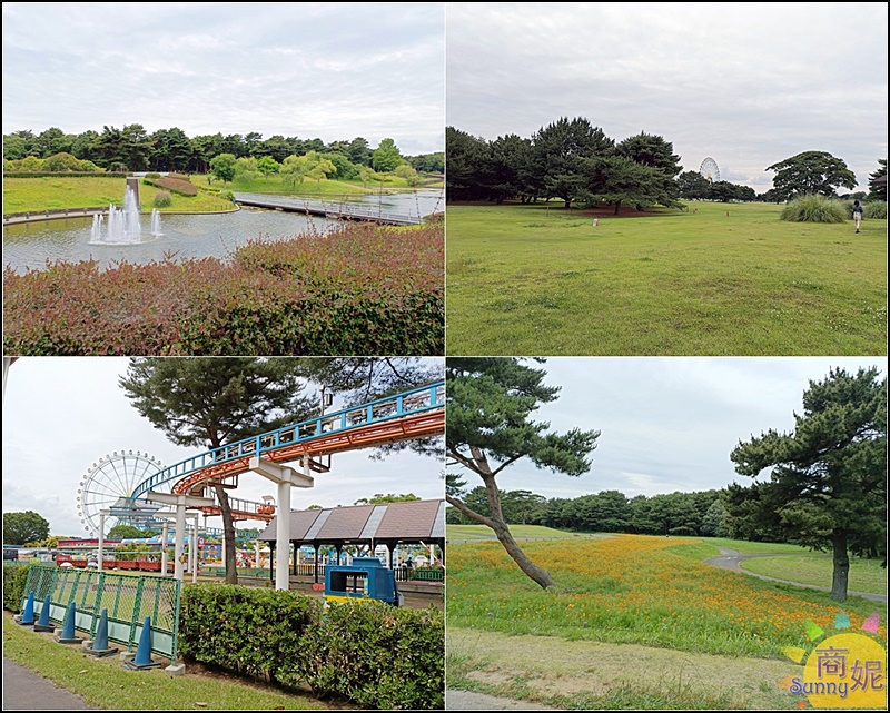 茨城一日遊|大洗磯前神社、那珂湊海鮮市場、國營海濱公園 花海美食一日遊