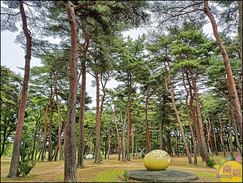 茨城一日遊|大洗磯前神社、那珂湊海鮮市場、國營海濱公園 花海美食一日遊