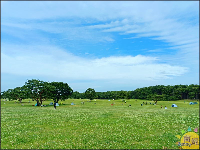 茨城一日遊|大洗磯前神社、那珂湊海鮮市場、國營海濱公園 花海美食一日遊