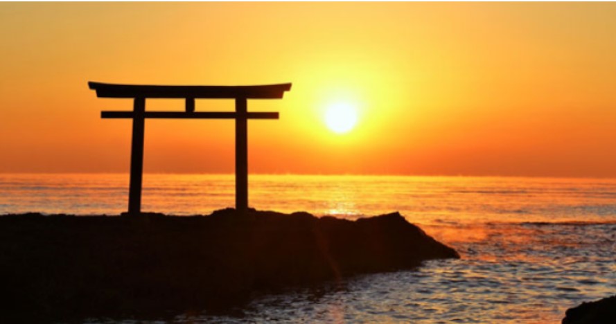 茨城一日遊|大洗磯前神社、那珂湊海鮮市場、國營海濱公園 花海美食一日遊