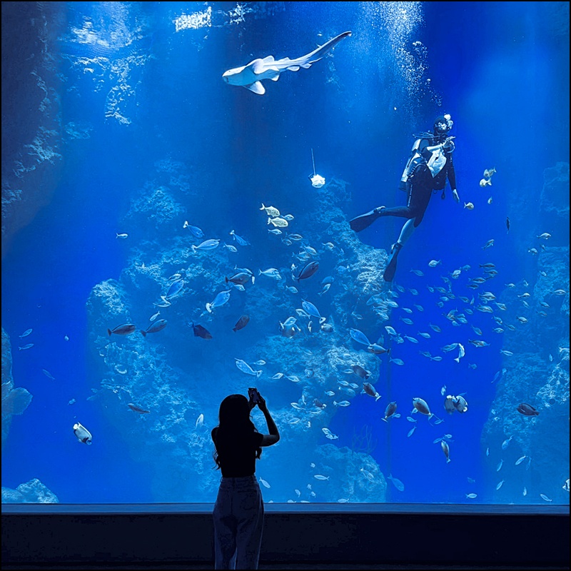 2025台中海洋館最新攻略|中部首座水族館登場!開幕時間、票價、展區＆交通懶人包