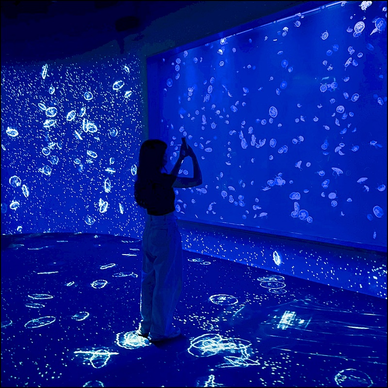 2025台中海洋館最新攻略|中部首座水族館登場!開幕時間、票價、展區＆交通懶人包