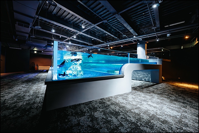 2025台中海洋館最新攻略|中部首座水族館登場!開幕時間、票價、展區&交通懶人包 2025台中海洋館最新攻略|中部首座水族館登場!開幕時間、票價、展區&交通懶人包