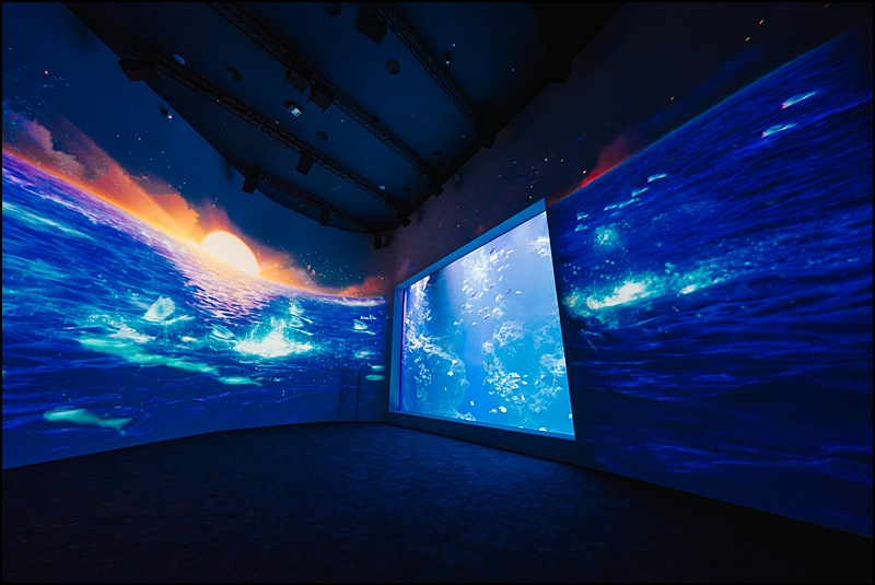 2025台中海洋館最新攻略|中部首座水族館登場!開幕時間、票價、展區&交通懶人包 2025台中海洋館最新攻略|中部首座水族館登場!開幕時間、票價、展區&交通懶人包