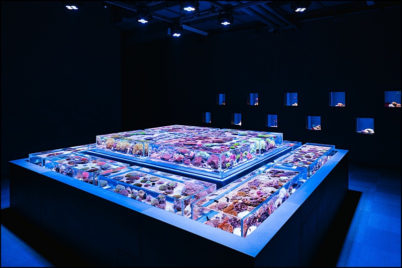 2025台中海洋館最新攻略|中部首座水族館登場!開幕時間、票價、展區＆交通懶人包