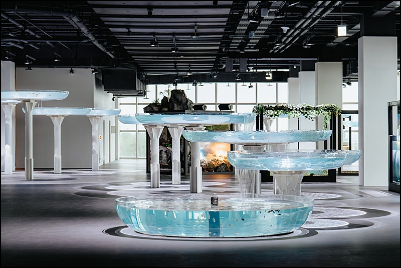 2025台中海洋館最新攻略|中部首座水族館登場!開幕時間、票價、展區&交通懶人包 2025台中海洋館最新攻略|中部首座水族館登場!開幕時間、票價、展區&交通懶人包