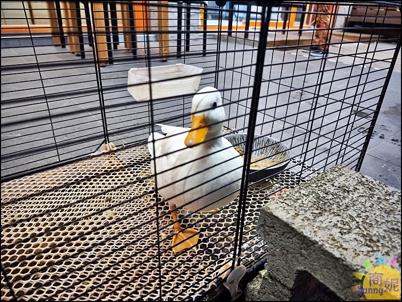 嘎嘎冒|台中第一家自助夾菜秤重計價個人冒菜鍋！一中平價四川冒菜鍋湯底免費一鍋150元起
