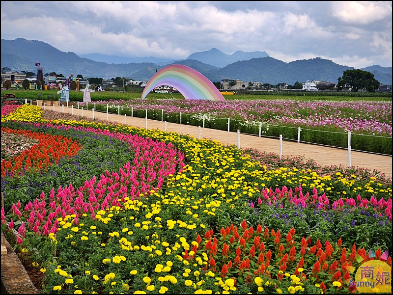 2025新社花海&台中花毯節|免費參觀!飛天小女警主題、時間、交通停車接駁車攻略 2025新社花海&台中花毯節|免費參觀!飛天小女警主題、時間、交通停車接駁車攻略