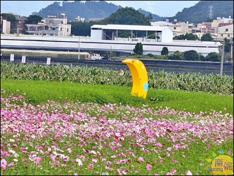 2025新社花海&台中花毯節|免費參觀!飛天小女警主題、時間、交通停車接駁車攻略 2025新社花海&台中花毯節|免費參觀!飛天小女警主題、時間、交通停車接駁車攻略