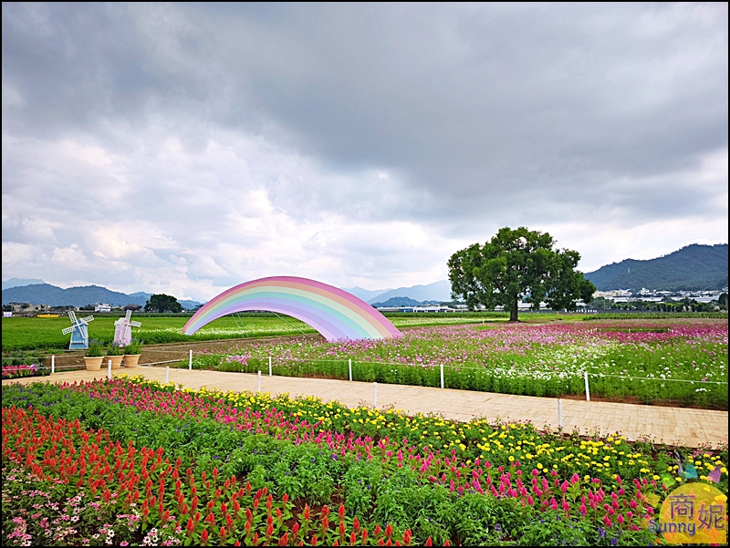 2025新社花海&台中花毯節|免費參觀!飛天小女警主題、時間、交通停車接駁車攻略 2025新社花海&台中花毯節|免費參觀!飛天小女警主題、時間、交通停車接駁車攻略