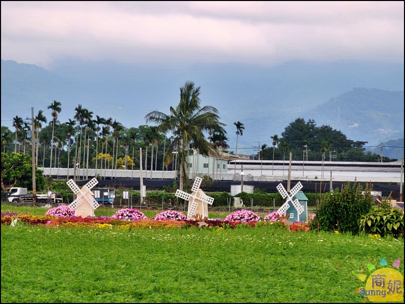2025新社花海&台中花毯節|免費參觀!飛天小女警主題、時間、交通停車接駁車攻略 2025新社花海&台中花毯節|免費參觀!飛天小女警主題、時間、交通停車接駁車攻略