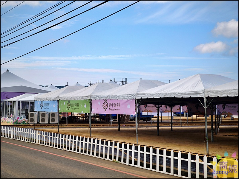 2025新社花海&台中花毯節|免費參觀!飛天小女警主題、時間、交通停車接駁車攻略 2025新社花海&台中花毯節|免費參觀!飛天小女警主題、時間、交通停車接駁車攻略