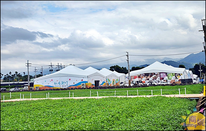 2025新社花海＆台中花毯節|免費參觀！飛天小女警主題、時間、交通停車接駁車攻略