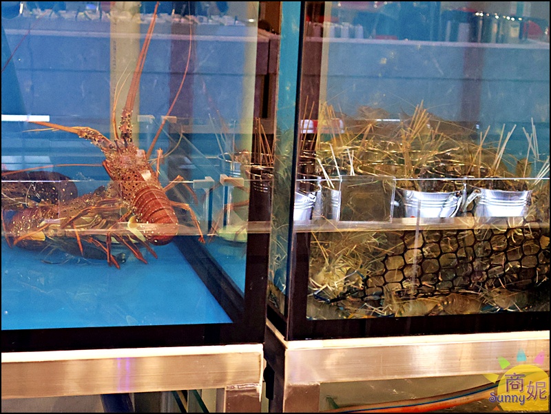 鍋誠意自選海鮮火鍋|台中火鍋低消39元起!自選食材以盤計價百元多吃飽喝足,營業到凌晨2點免費停車聚餐首選 鍋誠意自選海鮮火鍋|台中火鍋低消39元起!自選食材以盤計價百元多吃飽喝足,營業到凌晨2點免費停車聚餐首選
